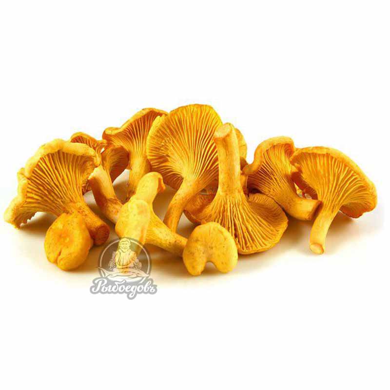 Грибы лисички замороженные