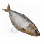 Сельдь залом каспийская, замороженная (500гр.+) 20-25кг