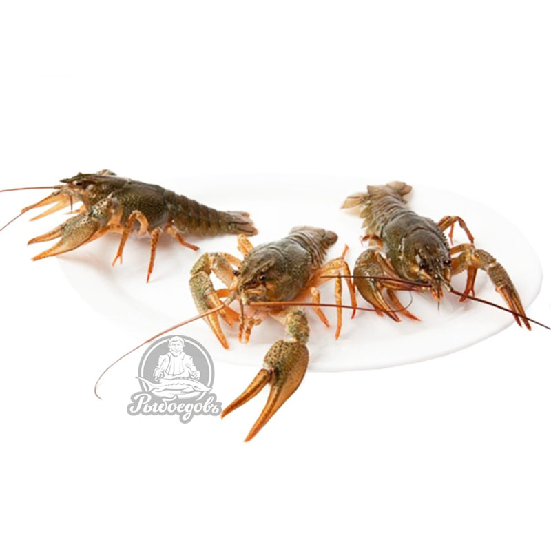 Раки живые 20-30 (доставляем от 3кг)