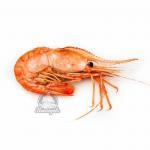 Ботан гребенчатый мелкий 90-120 шт/кг