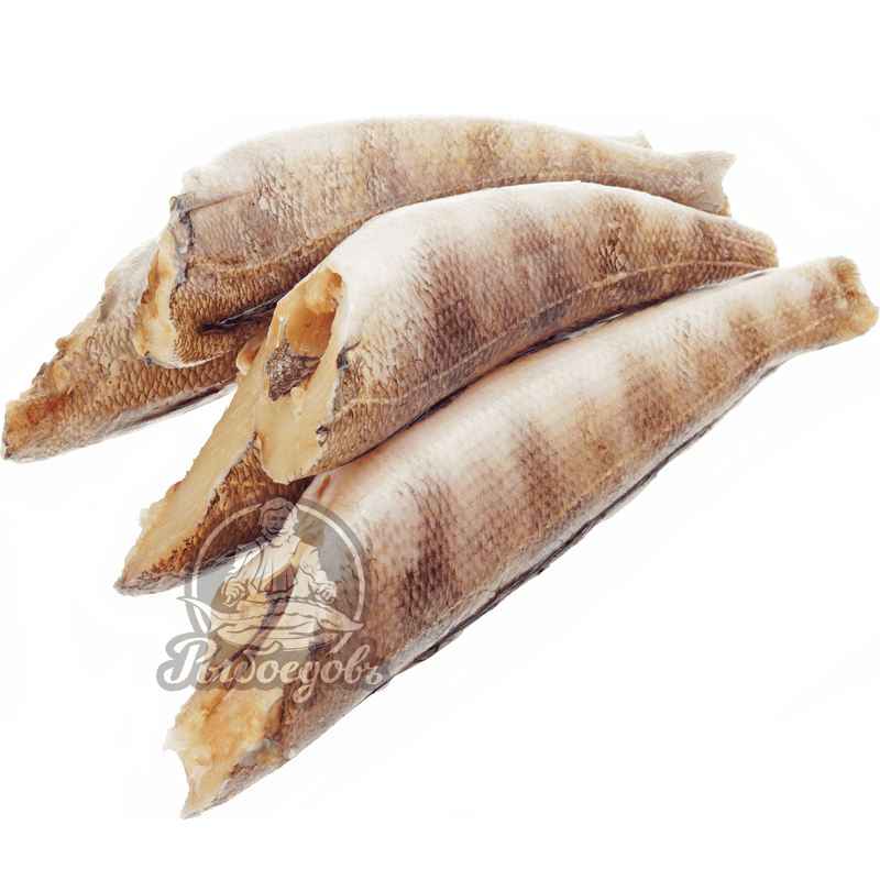 Нототения свежемороженая