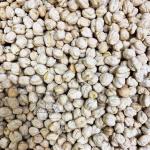 Нут индийский Крупный отборный (Индия)