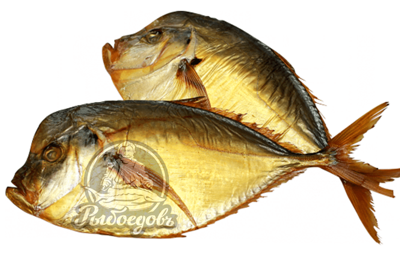 Вомер холодного копчения