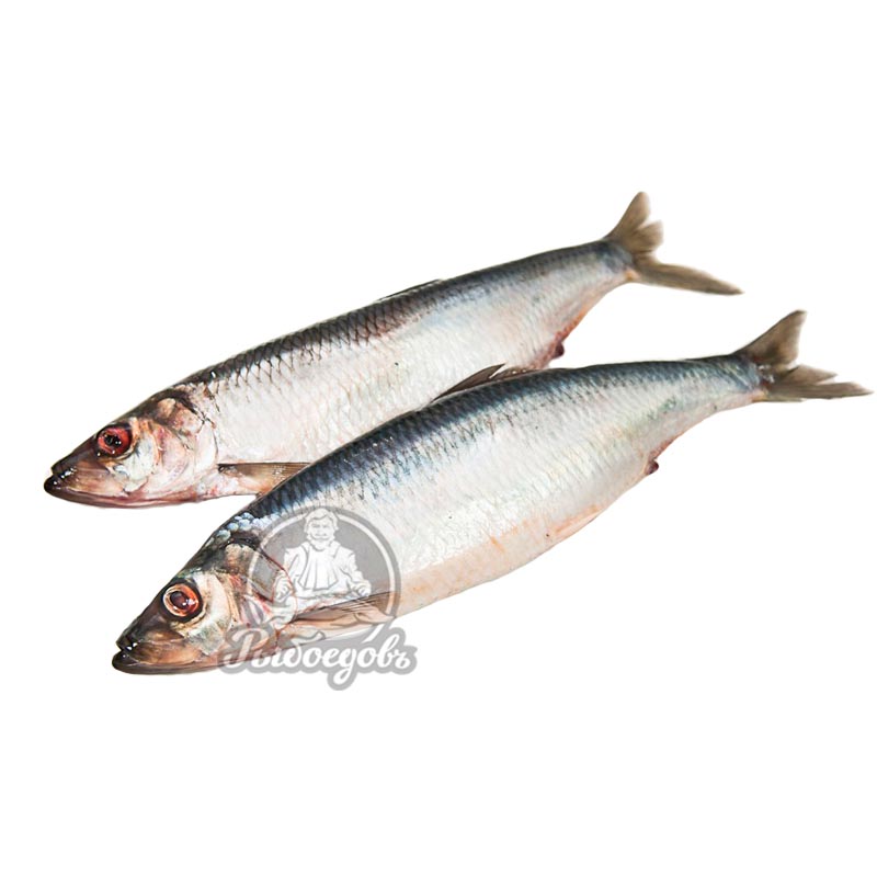 Иваси с/с "Арбатская" (1/15)