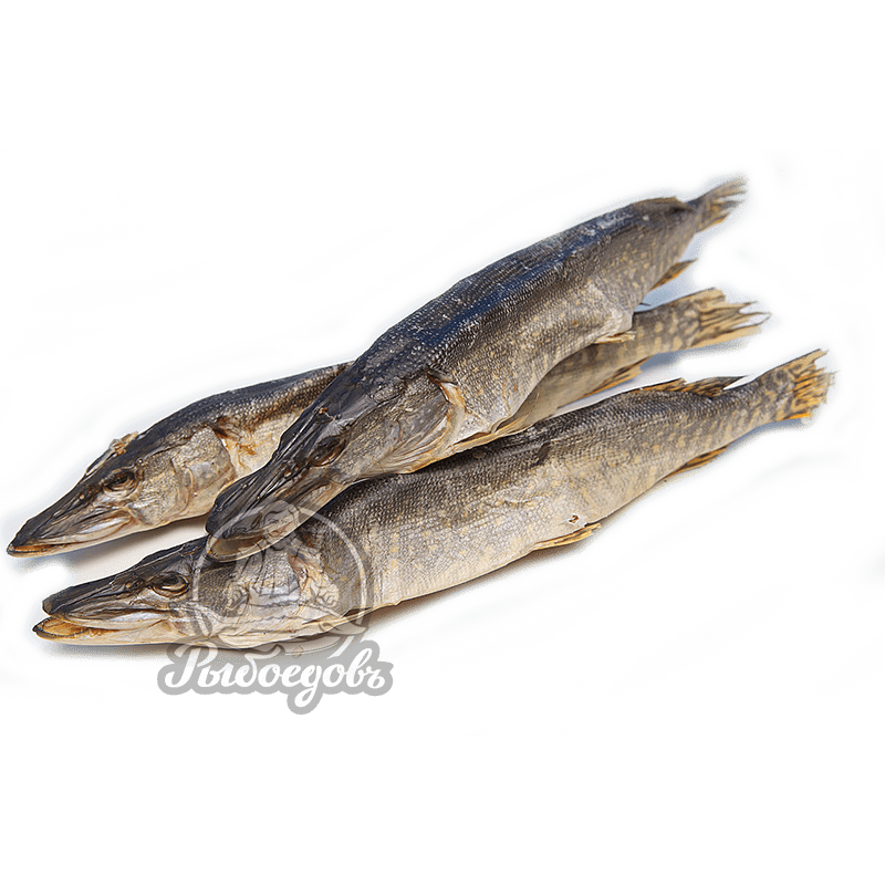 Щука вяленая  крупная
