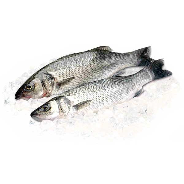 Сибас замороженный 400-600г