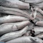 Полака тушка 250+ (вес.)