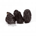 Чернослив Молдавия