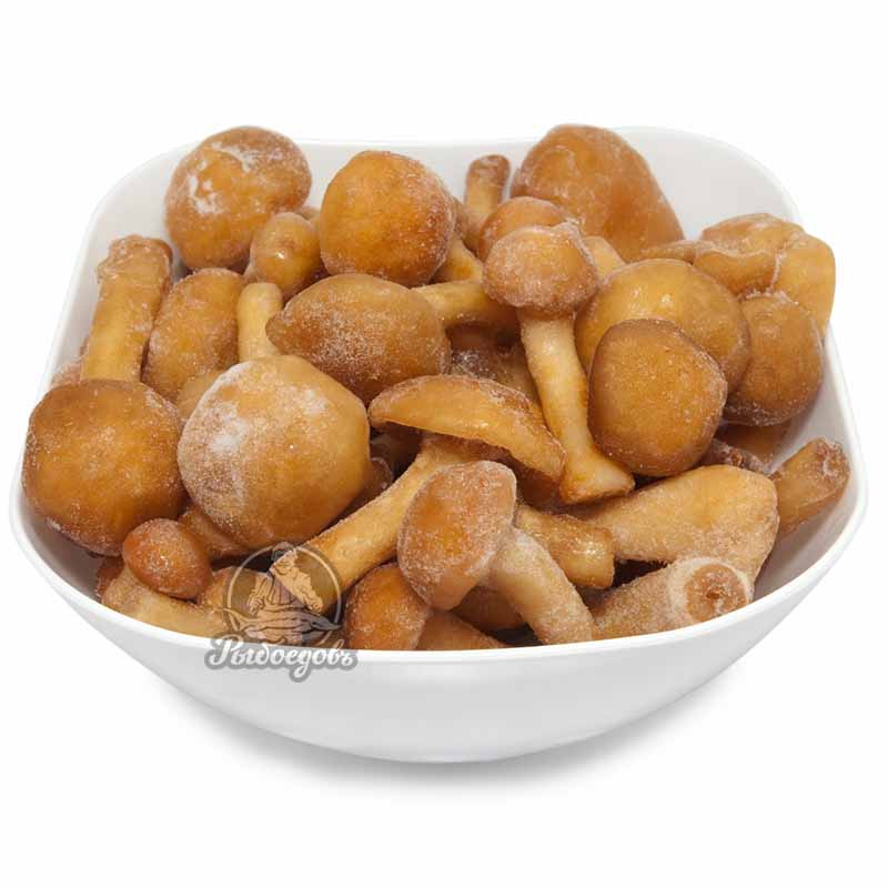 Опята замороженные