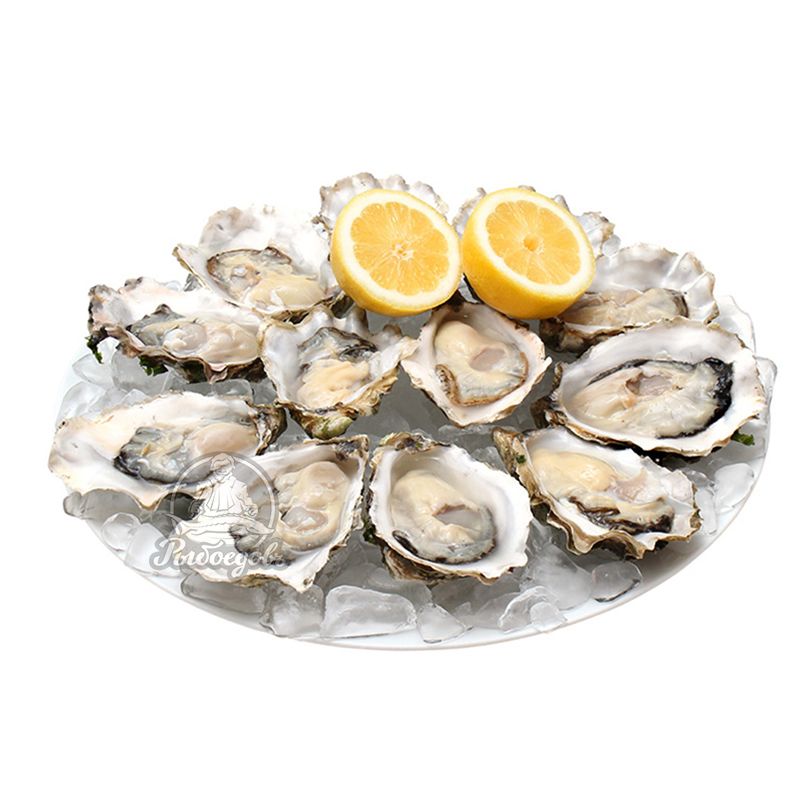 Устрица Белый жемчуг 12шт