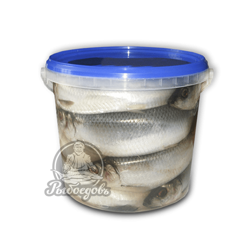 Сельдь слабосолёная в ведре 13кг (вес одной 500гр+)