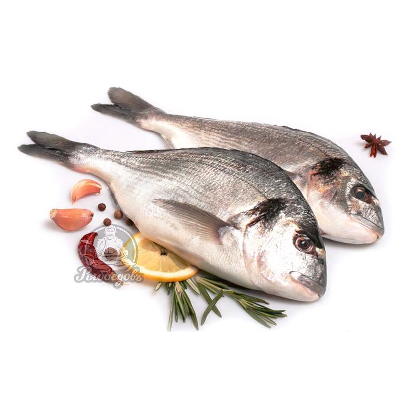 Дорада неразделанная охлажденная 400-500гр