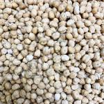 Нут отборный средний Азербайджан