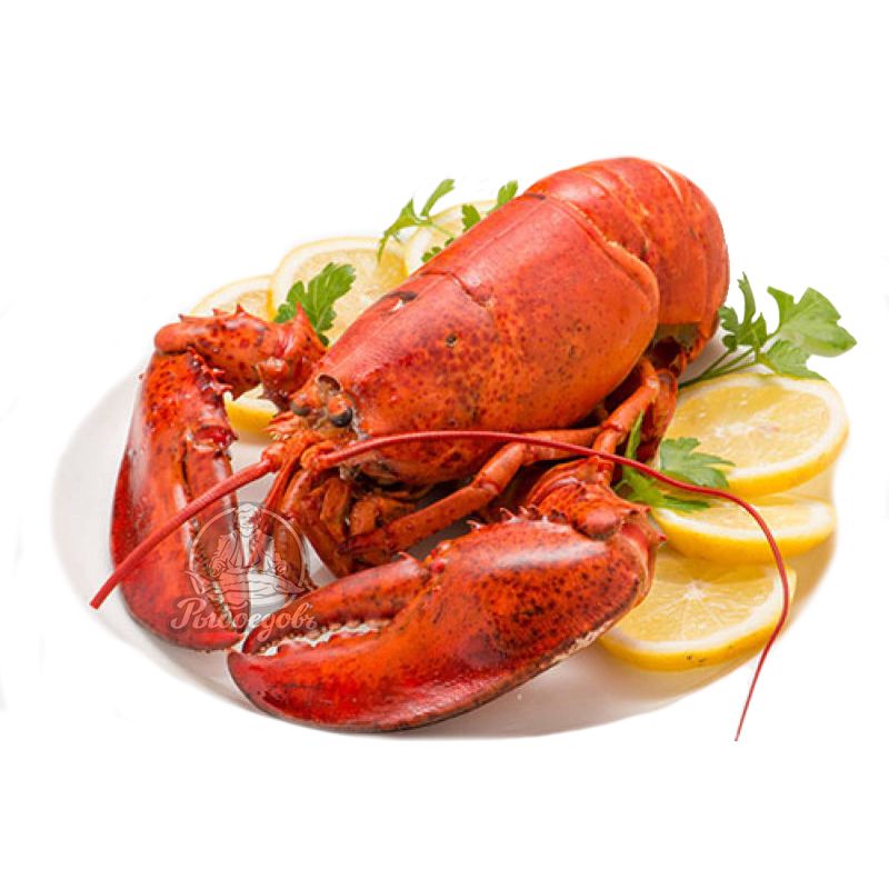 Раки живые 110+ крупные Вареные под заказ (доставляем от 3кг)