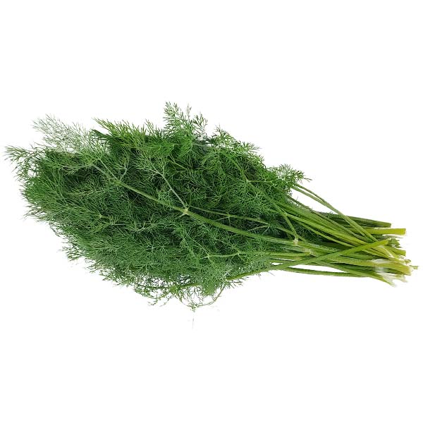 Укроп свежий