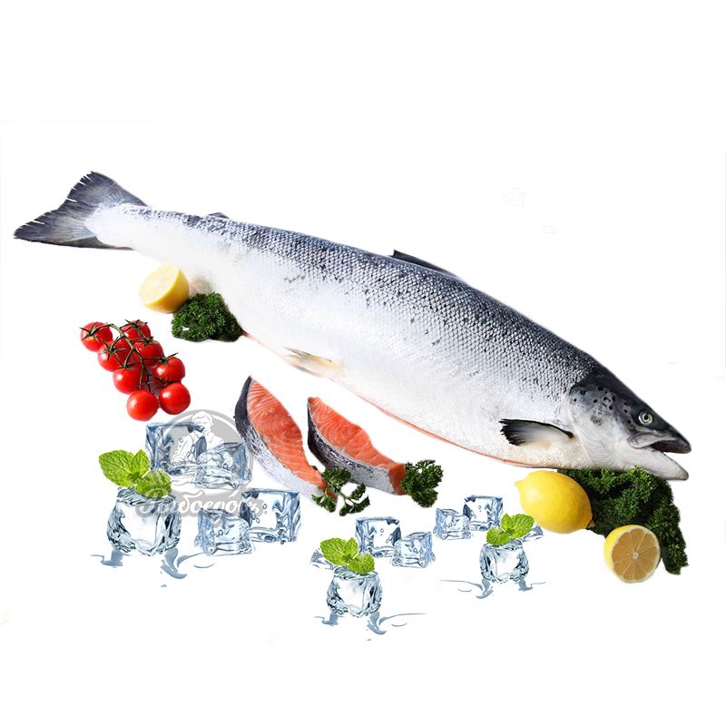 Семга замороженная 7-8кг PREMIUM (Чили)