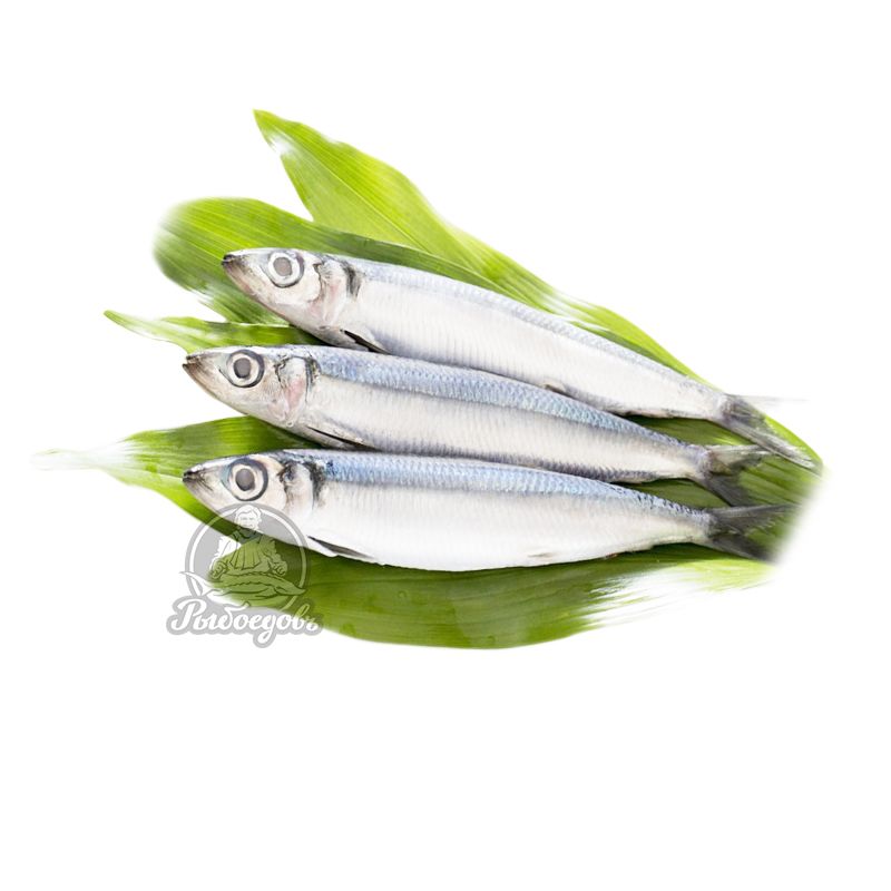 Салака штучная заморозка 16-18см 15кг