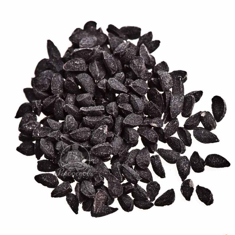 Сейдана семя (Индия)