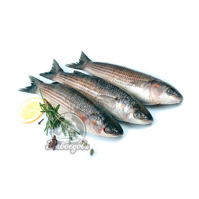 Кефаль н/р 0,5-1,0 (1/12)