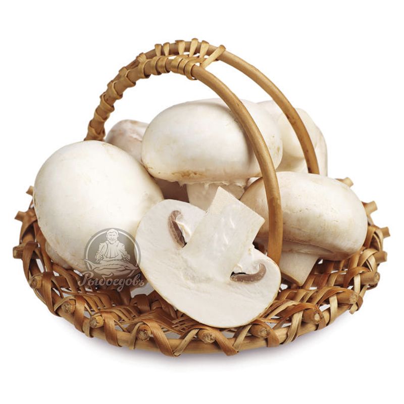 Шампиньоны белые свежие Россия 1кг (Поступление каждое утро)