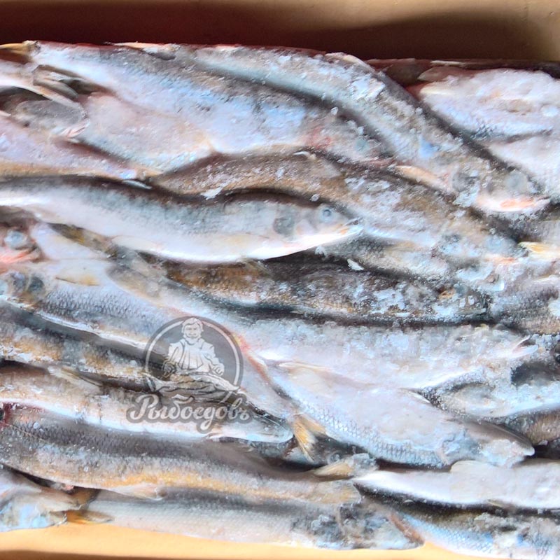 Корюшка Икряная 21+ (1/20*10) Россия