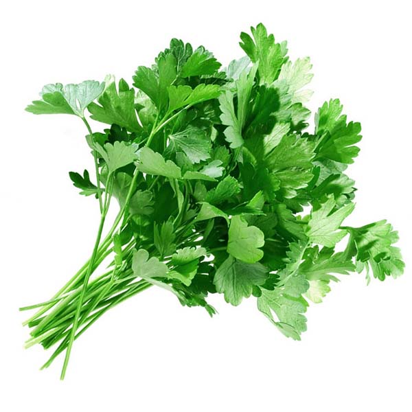 Петрушка свежая
