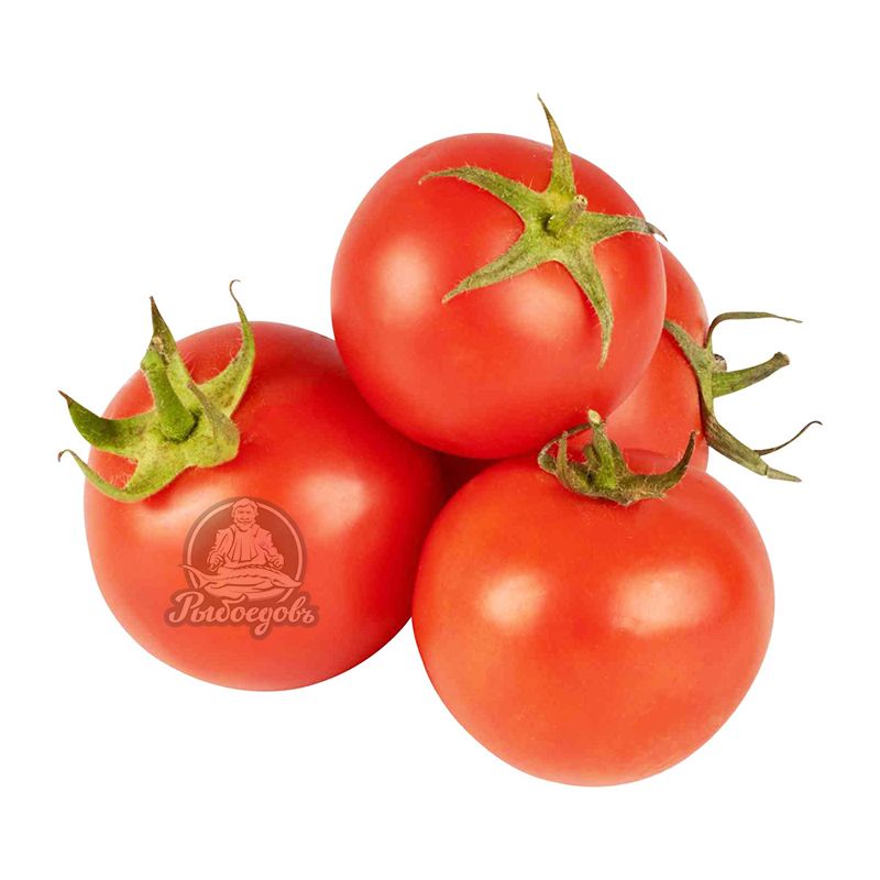 Помидоры свежие Россия