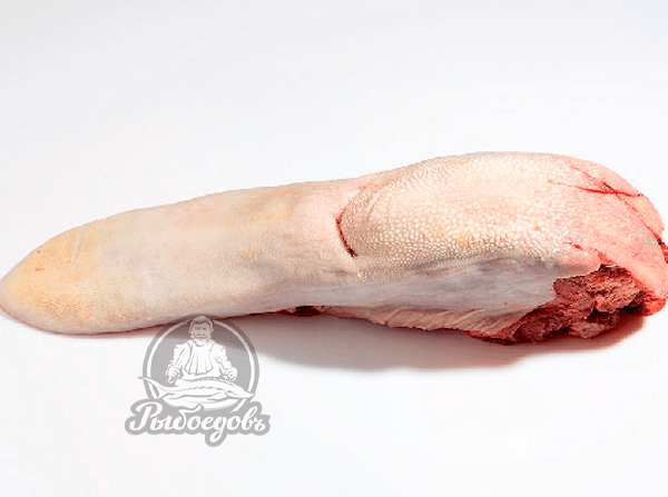 Язык из телятины для заливного