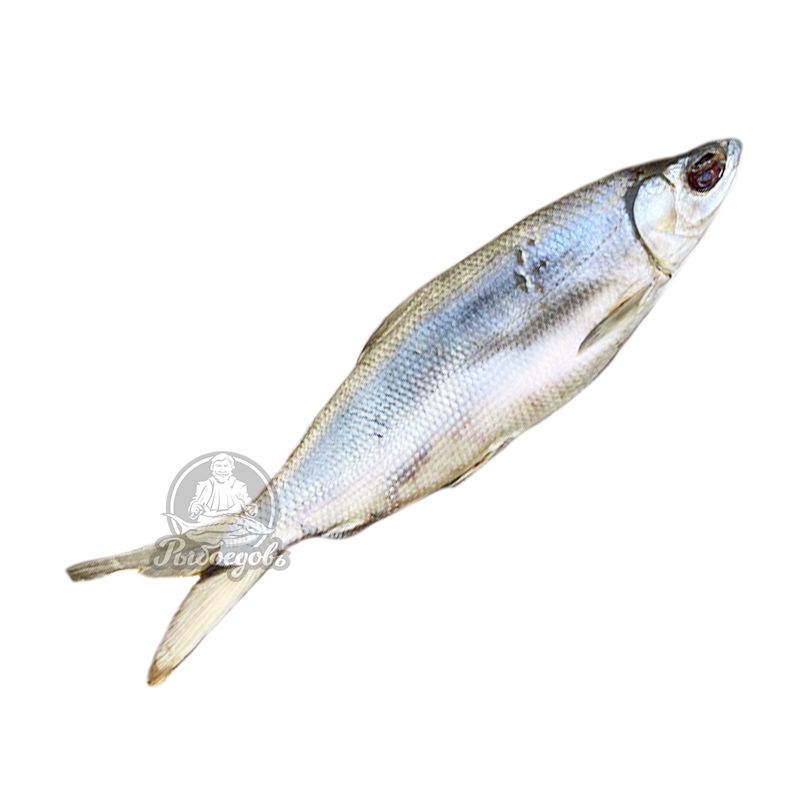 Омуль вяленый Premium 0,7-1кг