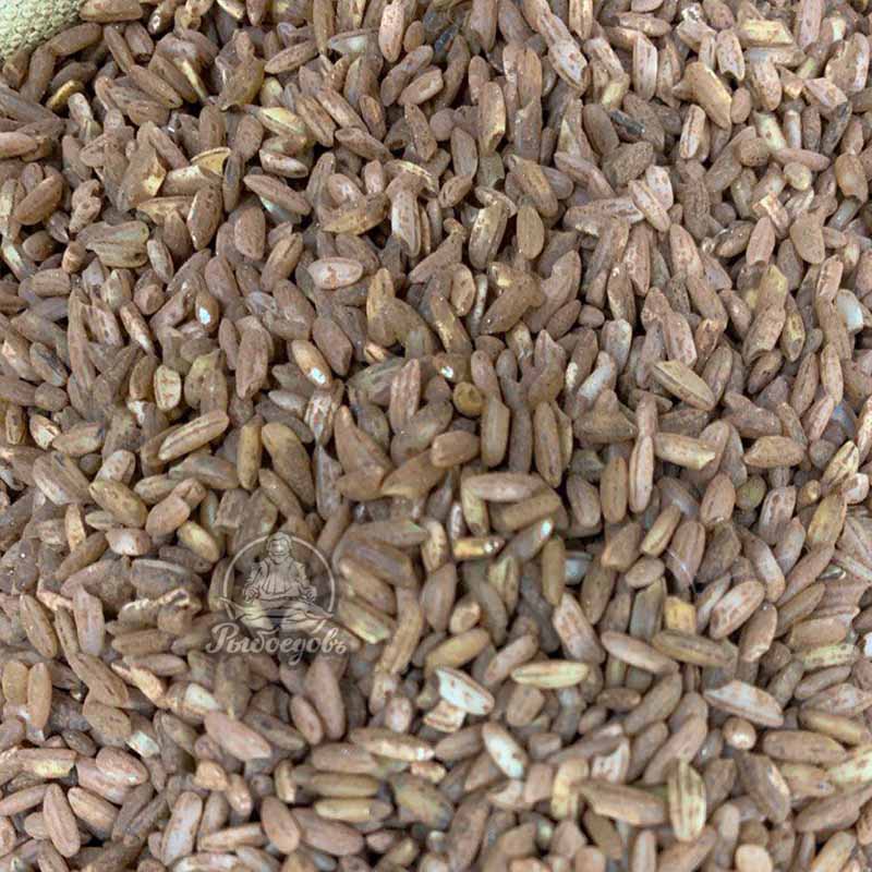 Рис для плова красный «кыргызстан девзира»