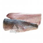 Сазан филе н/ш (1/12)