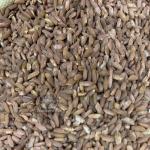 Рис для плова красный «кыргызстан девзира»