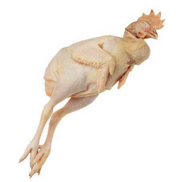 Петух  Браун с головой охлажденный  (вес 1.2-1.7 кг)