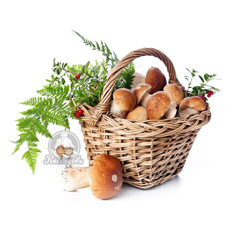 Грибы белые целые Россия замороженные