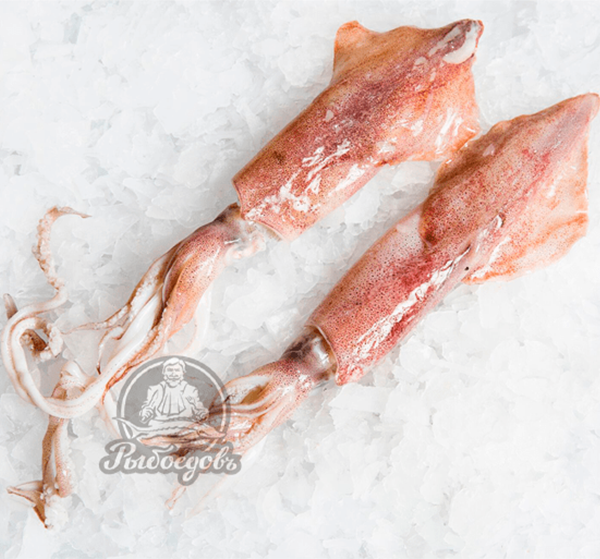 Кальмар лолиго свежемороженый