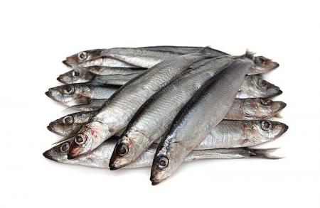 Килька с/м, 8-12 см