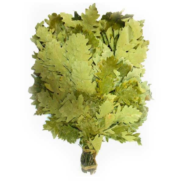 Веник дубовый