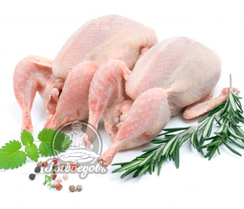 Перепела шашлык