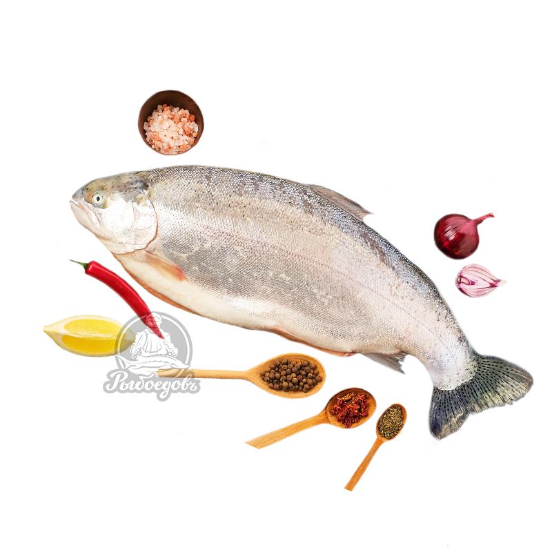 Форель морская охлажденная с головой 2-3кг (Мурманск)