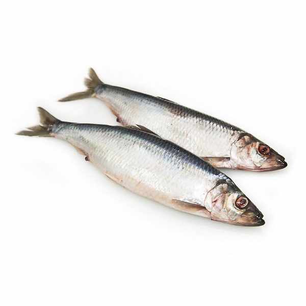 Сельдь атлантическая с/м н/р 350гр+ 14,5кг