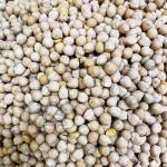 Нут узбекский мелкий отборный