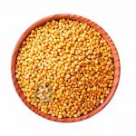 Семя горчицы