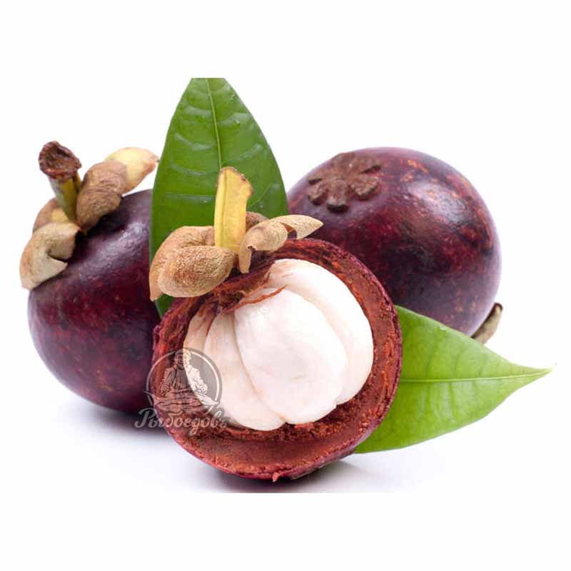 Мангостин (мангустин или мангостан) свежий Вьетнам