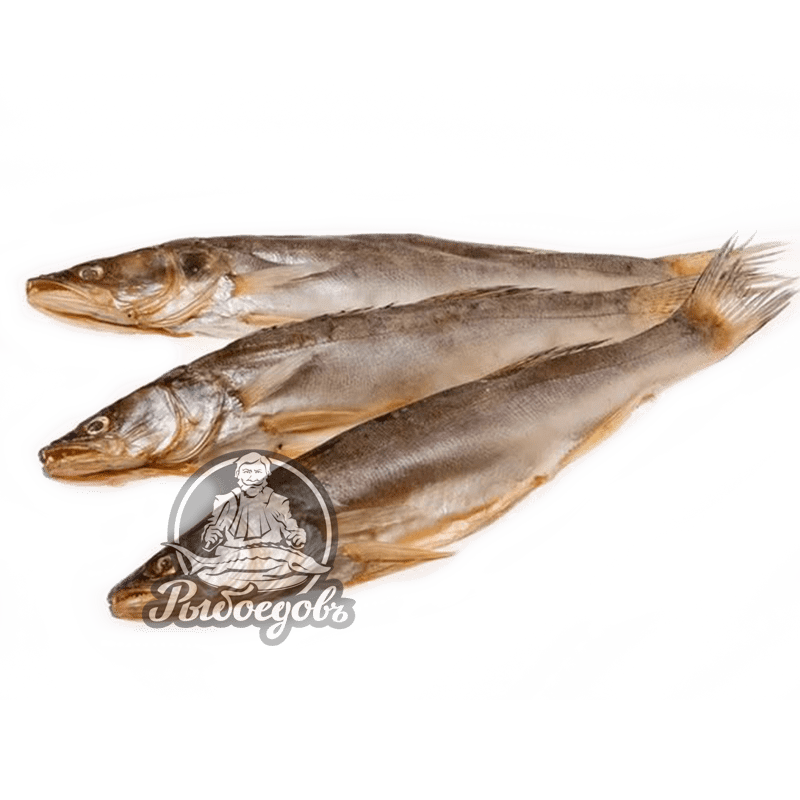 Судак вяленый