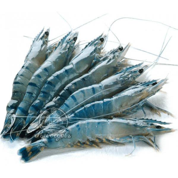 Тигровые креветки с головой 8/12