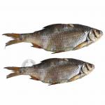 Плотва вяленая крупная 100-200г