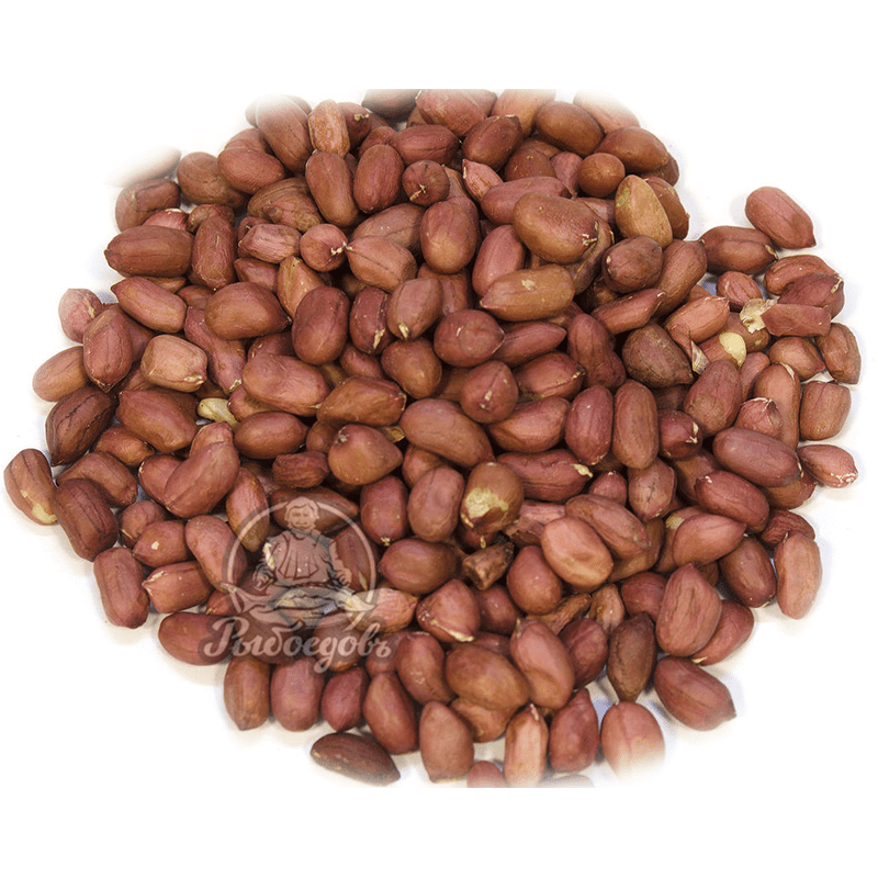 Арахис жареный Узбекистан