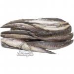 Барракуда 500-100 (1/10)