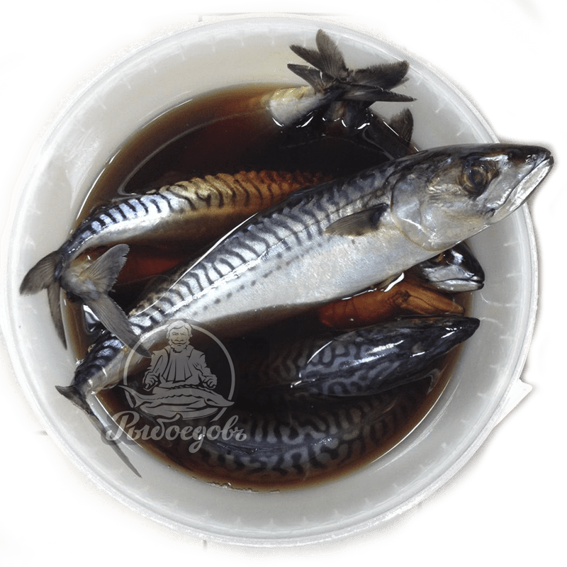 Скумбрия пряного посола в ведре 5кг