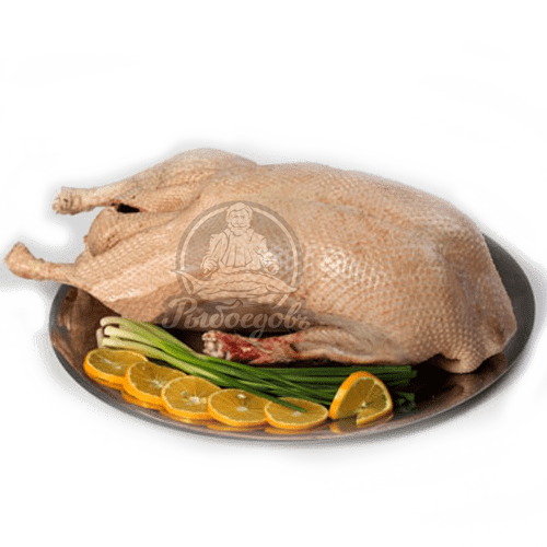 Утка домашняя диетическая охлаждённая. Тамбов 1,5-2,5кг